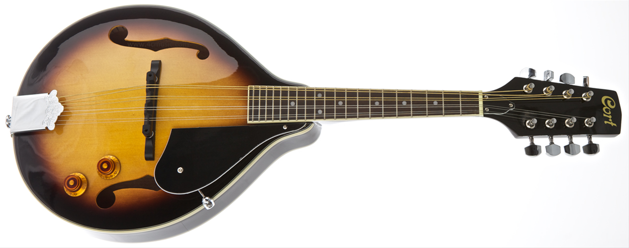 ELEKTRO%20MANDOLIN%20ÇANTALI,%20ANTİK%20SUNBURST,%20LADİN%20KA