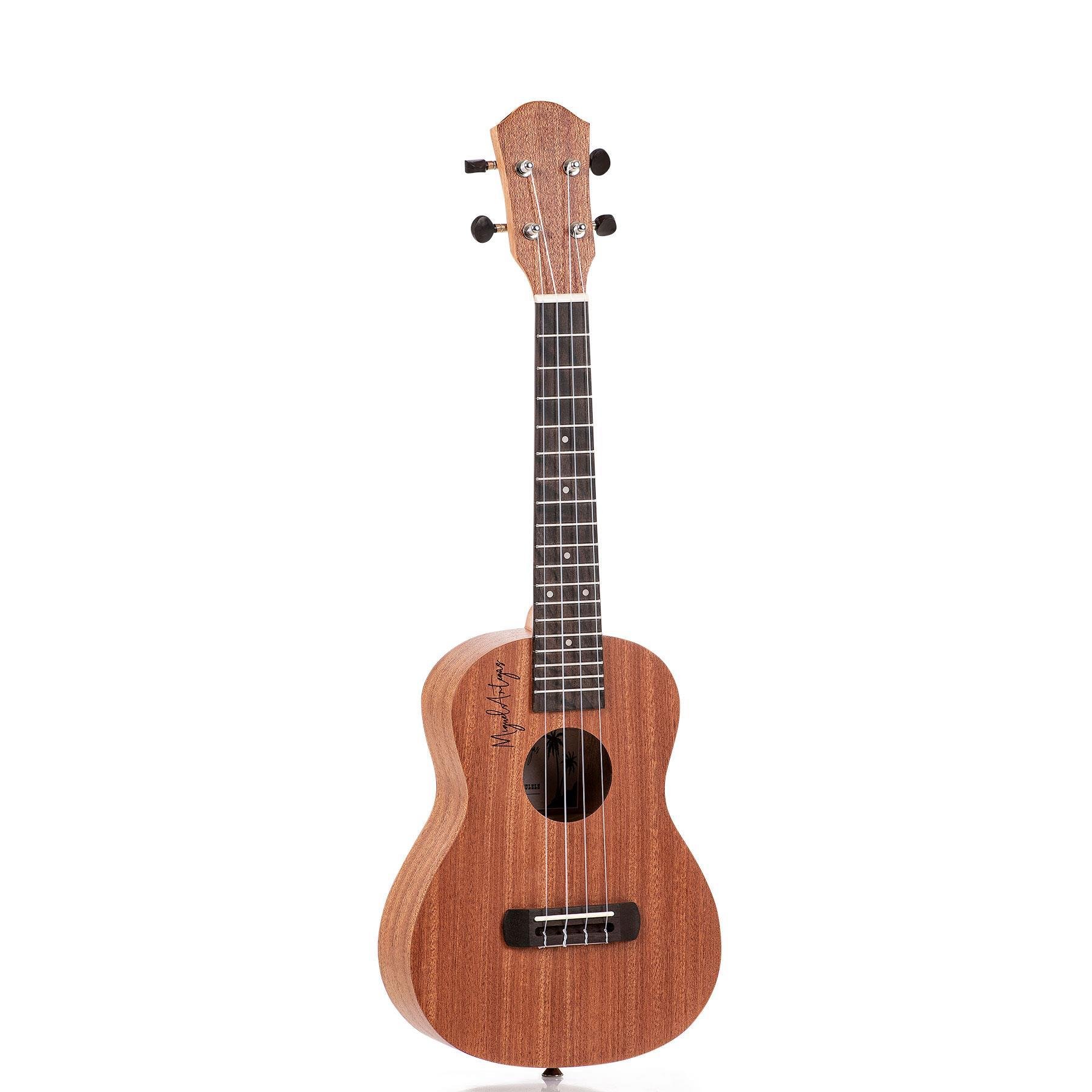 Miguel%20Artegas%20MU23C%20Concert%20Ukulele