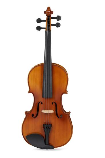 Bardsen BVA1100 4/4 Viola