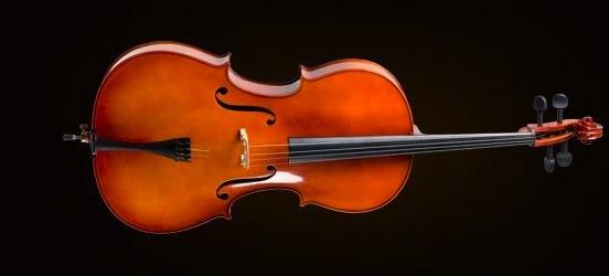 CELLO KILIFLI+YAY+REÇİNE, 1/2 SCALE, GERMAN SİSTEM