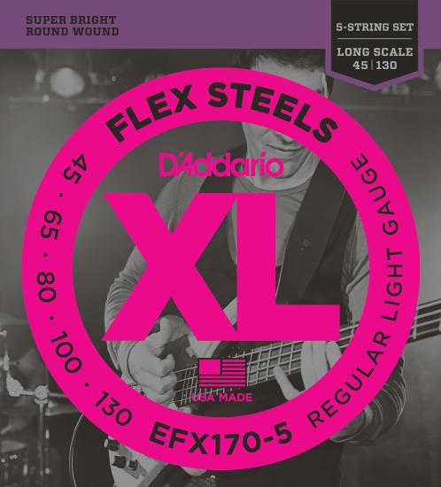 BAS GİTAR TEL SETİ, 5 TELLİ, FLEXSTEELS, REGULAR L